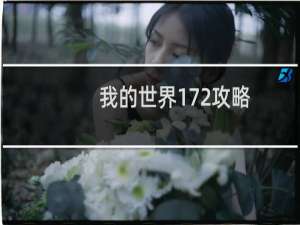 我的世界172攻略
