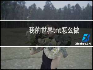 我的世界tnt怎么做
