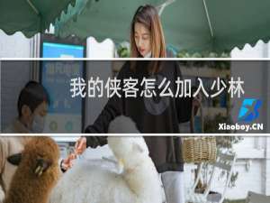 我的侠客怎么加入少林