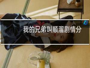 我的兄弟叫顺溜剧情分集介绍（我的兄弟叫顺溜剧情分集介绍1-5集）