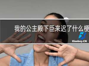 我的公主殿下臣来迟了什么梗