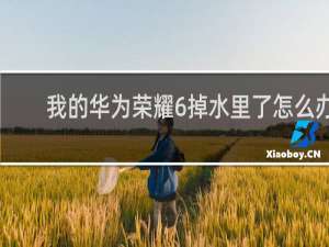 我的华为荣耀6掉水里了怎么办