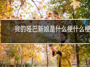 我的哑巴新娘是什么梗什么梗