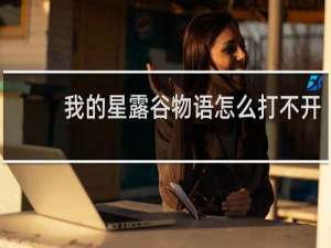 我的星露谷物语怎么打不开