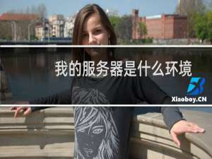 我的服务器是什么环境的？
