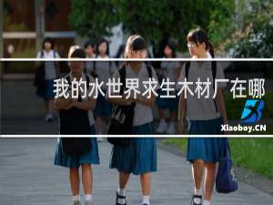我的水世界求生木材厂在哪