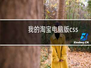 我的淘宝电脑版css