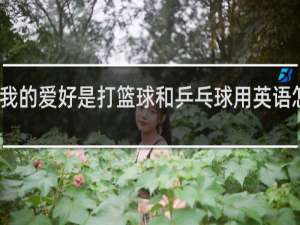 我的爱好是打篮球和乒乓球用英语怎么说
