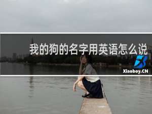 我的狗的名字用英语怎么说