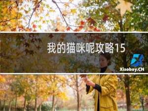 我的猫咪呢攻略15