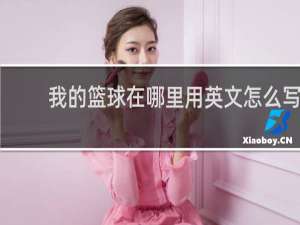 我的篮球在哪里用英文怎么写