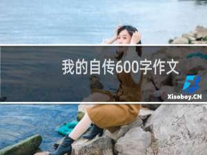 我的自传600字作文