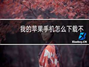 我的苹果手机怎么下载不了东西