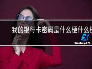 我的银行卡密码是什么梗什么梗
