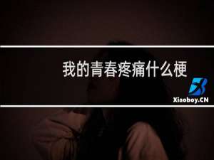 我的青春疼痛什么梗