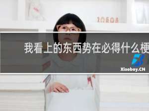 我看上的东西势在必得什么梗