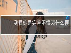 我看你是完全不懂哦什么梗