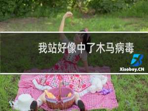 我站好像中了木马病毒了，帮忙，看看