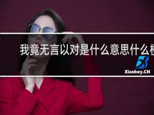 我竟无言以对是什么意思什么梗