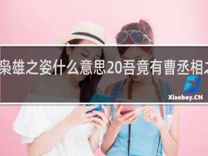 我竟有枭雄之姿什么意思 吾竟有曹丞相之志！什么梗