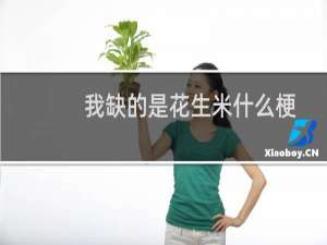 我缺的是花生米什么梗