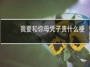 我要和你母凭子贵什么梗？我要和你母凭子贵是什么意思什么梗