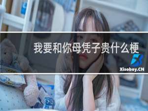 我要和你母凭子贵什么梗