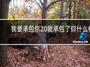 我要承包你 我承包了你什么梗