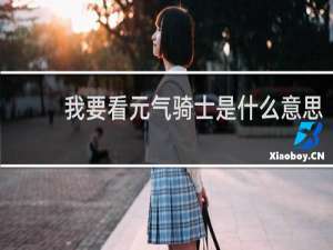 我要看元气骑士是什么意思