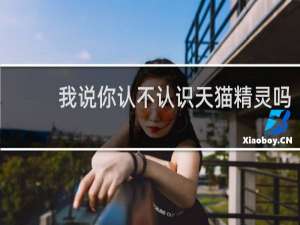 我说你认不认识天猫精灵吗