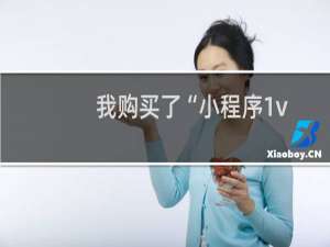我购买了“小程序1v1专家服务”