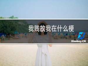 我贱故我在什么梗