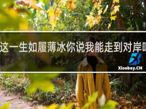 我这一生如履薄冰你说我能走到对岸吗什么梗