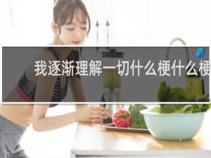 我逐渐理解一切什么梗什么梗