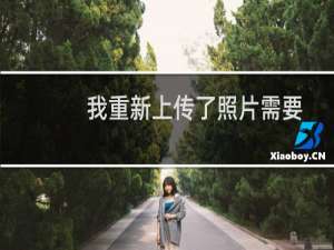 我重新上传了照片需要多久