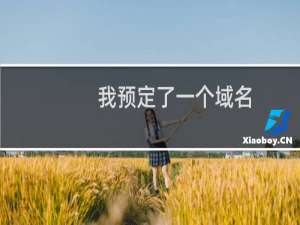我预定了一个域名，没预定上，金额也退不了