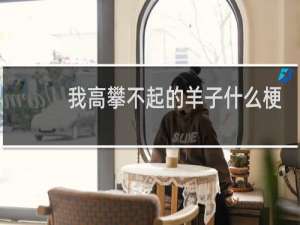 我高攀不起的羊子什么梗