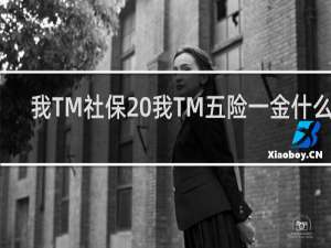 我TM社保 我TM五险一金什么梗