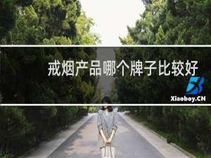 戒烟产品哪个牌子比较好