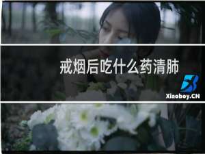 戒烟后吃什么药清肺