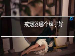 戒烟器哪个牌子好