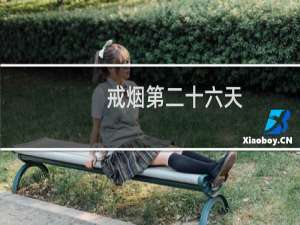 戒烟第二十六天