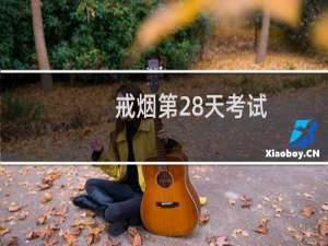 戒烟第28天考试
