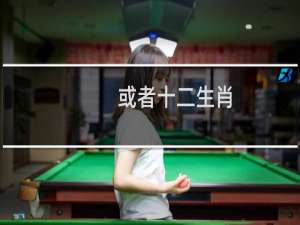 或者十二生肖