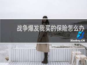 战争爆发我买的保险怎么办