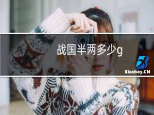 战国半两多少g