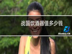 战国饮酒器值多少钱