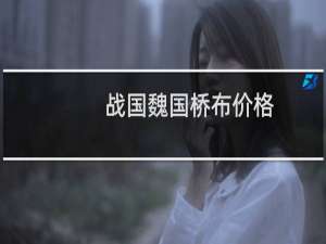 战国魏国桥布价格