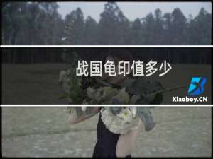 战国龟印值多少