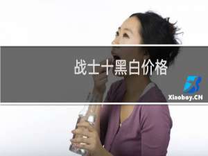 战士十黑白价格
